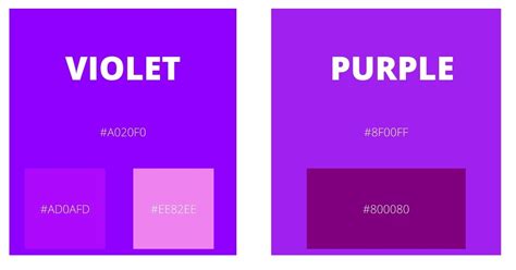 pourpre vs violet